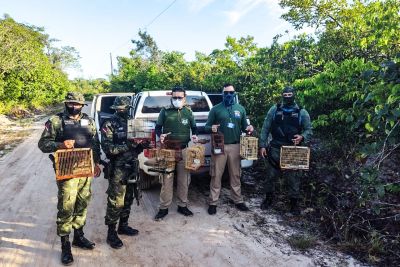 notícia: Semas apreende material de pesca e solta pássaros flagrados em cativeiro no nordeste do Pará