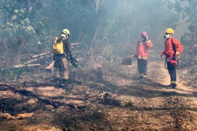 notícia: Bombeiros divulgam resultado de operação de combate a incêndios florestais
