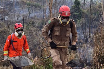 notícia: III Edição da Operação Fênix 2021 reduz em mais de três mil os focos de calor no Pará