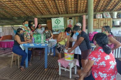 notícia: Emater garante capacitação e renda para produtores de Benevides
