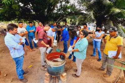 notícia: IDEFLOR-Bio promove capacitações sobre manejo e desenvolvimento de SAFS Cacau 
