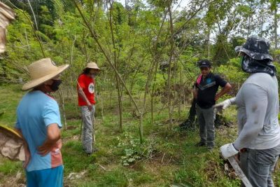 notícia: Parceria entre IDEFLOR Bio e MST rende frutos aos assentamentos de Acará, Mosqueiro, Santa Bárbara e Castanhal