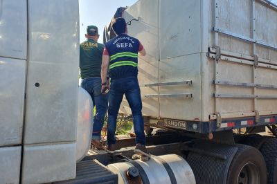 notícia: Em Marabá, Sefa apreende duas carretas transportando madeira com nota 'viajada' 