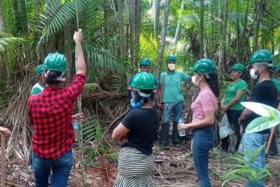 notícia: Em Novo Repartimento, Emater capacita agricultores familiares no manejo de açaizais  