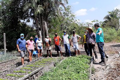 notícia: Emater entrega DAPs e orienta agricultores familiares para qualificar a produção de hortas
