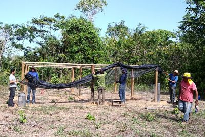 notícia: Área de proteção ambiental recebe viveiros de mudas florestais e agrícolas
