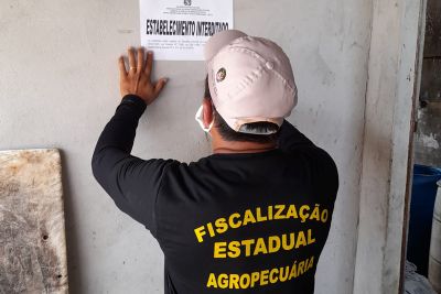 notícia: Adepará interdita fábrica clandestina de carne salgada, em Castanhal