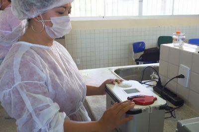 notícia: Pará lidera ranking pecuário de adoção da Inseminação Artificial na Região Norte