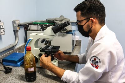 notícia: Cientistas do PCT Guamá investigam a variedade do mel em circulação na Amazônia