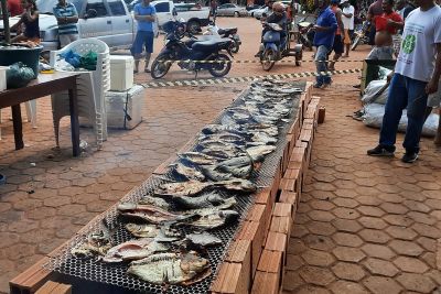notícia: Emater apoia piscicultores de Dom Eliseu e região com ações que mostram a sanidade do pescado produzido em cativeiro