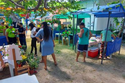 notícia: Feira Verde Cultural da Emater, em Salvaterra, é espaço de agricultura e cultura sustentáveis