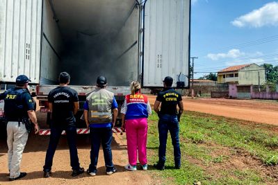 notícia: Adepará apreende 15 toneladas de pescados na divisa com o Maranhão