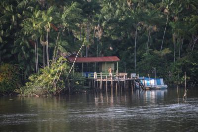 notícia: Coema aprova Autorização de Exploração Florestal Simplificada para ribeirinhos