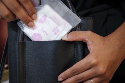 notícia: Estado irá fornecer gratuitamente absorventes íntimos às meninas e mulheres em vulnerabilidade social   