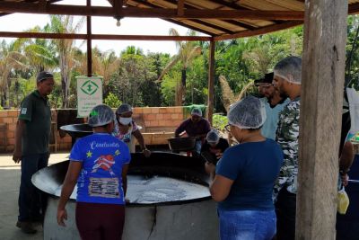 notícia: Com apoio da Emater, famílias da etnia Munduruku recebem recursos para impulsionar produção de farinha