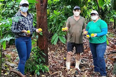 notícia: Emater promove oficina de metodologia para técnicos que atuam no programa Territórios Sustentáveis