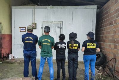 notícia: Em um ano, Adepará apreendeu mais de 30 mil quilos de produtos e subprodutos de origem animal clandestinos