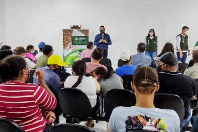 notícia: Programa "Mais Cacau Incentivo" ampliará número de produtores atendidos