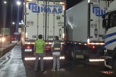 notícia: Adepará apreende carga irregular com 30 toneladas de polpa de açaí 