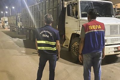 notícia: Sefa apreende 85 cabeças de gado sem nota fiscal em Dom Eliseu  