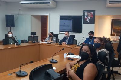 notícia: Comitê discute revisão do Plano Estadual de Política para Mulheres