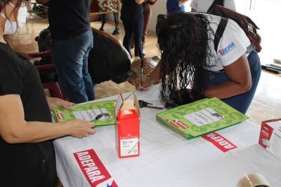 notícia: Adepará prorroga prazo para atualização de cadastro agropecuário