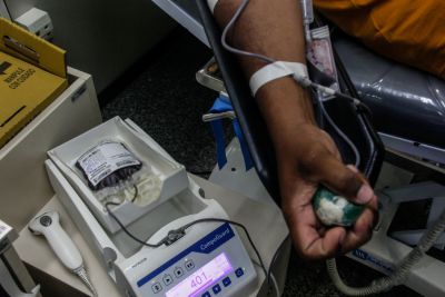 notícia: Hemopa lança campanha pelo Dia Nacional do Doador de Sangue