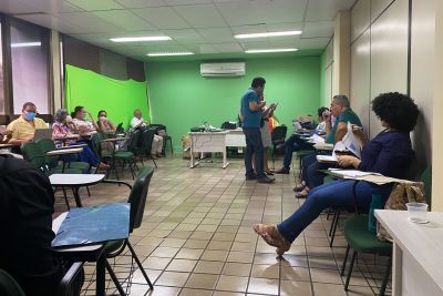 notícia: Adepará discute estratégias para 2022 na área vegetal