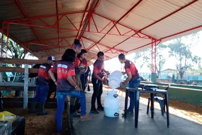 notícia: Em Castanhal, 5° Torneio Leiteiro movimenta programação da Expofac 2021