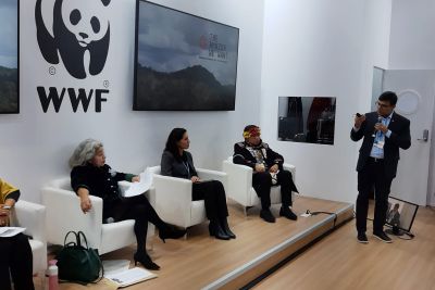 notícia: Pará participa de última agenda na COP26 com a entrega do Relatório de Avaliação da Amazônia 2021
