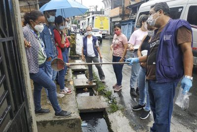 notícia: Sespa promove treinamento sobre moluscos que transmitem doenças graves