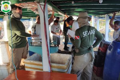 notícia: Fiscalização ambiental apreende mais de 6 toneladas de pescado no período de defeso