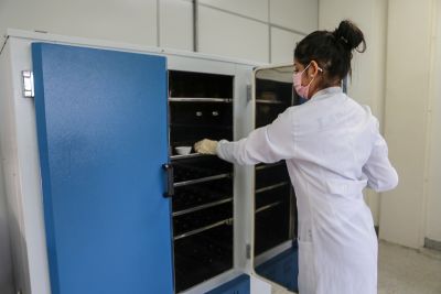 notícia: Governo aprimora os requisitos do programa "Bolsa Pará"