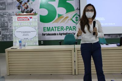 Lucionila Pimentel, diretora de Defesa e Inspeção Vegetal