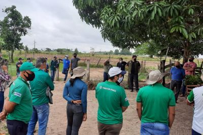 notícia: "Territórios Sustentáveis" atualiza técnicos da Emater sobre recuperação florestal de propriedades rurais