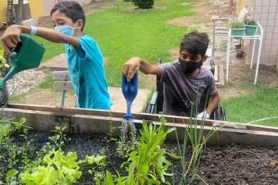 notícia: Projeto Hortaterapia ganha aprovação de pacientes do Hospital Geral de Tailândia