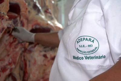 notícia: Trabalho de vistoria técnica da Adepará garante qualidade dos produtos paraenses 