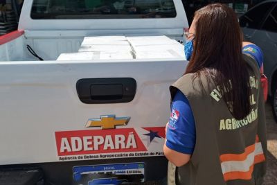 notícia: Adepará apreende em Castanhal vacinas contra raiva impróprias para uso