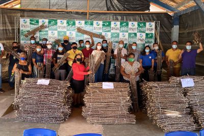 notícia: Sedap distribui mudas de bananas e manivas para produtores dos municípios atendidos pelo TS