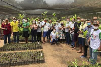 notícia: Com intermédio da Emater, famílias de Palestina do Pará recebem recursos para incrementar produção rural