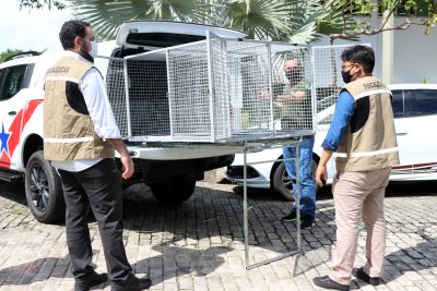 notícia: Semas adquire viatura adaptada para transporte de animais silvestres