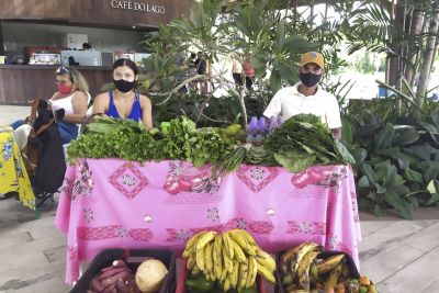 notícia: Parque do Utinga promove mais uma edição da Feira Biodiversidade