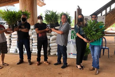 notícia: IDEFLOR-Bio capacita 200 agricultores familiares em Sistemas Agroflorestais