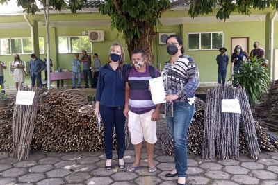 notícia: Parceria entre Sedap, Ufopa e IFPA beneficia produtores de mandioca no Oeste