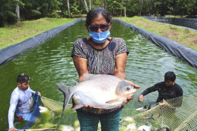 notícia: Assistidos pela Emater, agricultores de Santa Bárbara do Pará conseguem recursos do Pronaf