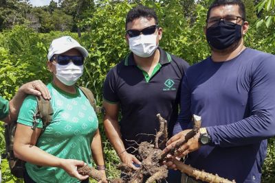notícia: Emater em Santarém apoia diversificação da produção em comunidade quilombola