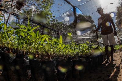 notícia: Adepará e Emater encerram 2021 com fortalecimento no apoio a produtores rurais e avanço nas políticas de valorização do agronegócio