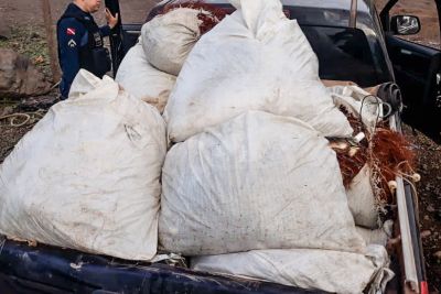 notícia: IDEFLOR-Bio intensifica fiscalização no Mosaico Lago e Tucuruí em período de defeso