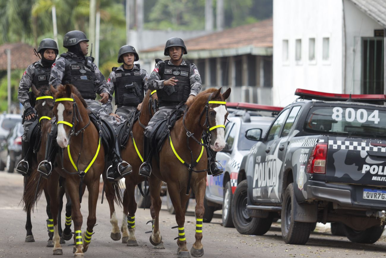 Cavalo Matando Filhote! 