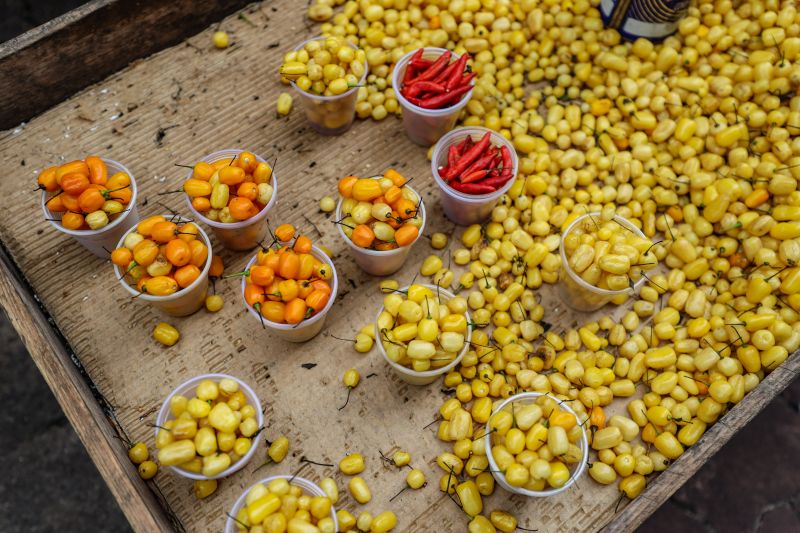 Imagens Ver-o-Peso - Rodrigo Pinheiro AgPará <div class='credito_fotos'>Foto: Rodrigo Pinheiro / Ag. Pará &nbsp;&nbsp;|&nbsp;&nbsp; <a href='/midias/2022/originais/11519_95b3d0a8-fa12-d6f5-a9fd-a37a39f9ed1d.jpg' download><i class='fa-solid fa-download'></i> Download</a></div>